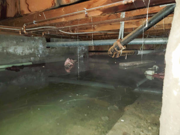 Best 24/7 water damage repair  in Mount Penn, PA