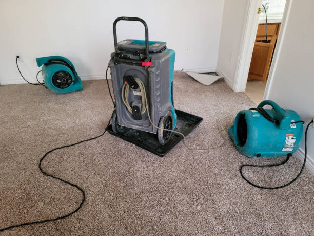 Best Commercial water damage restoration  in Mount Penn, PA