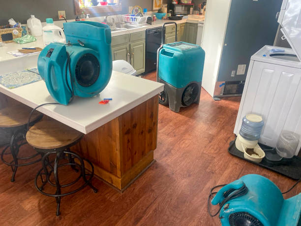 Best Emergency water damage restoration  in Mount Penn, PA