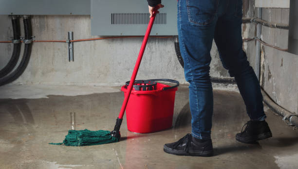 Best Residential water damage restoration  in Mount Penn, PA