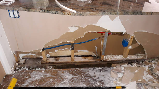Best Flood damage cleanup  in Mount Penn, PA