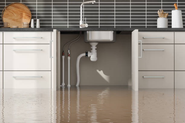 Best Carpet water damage restoration  in Mount Penn, PA