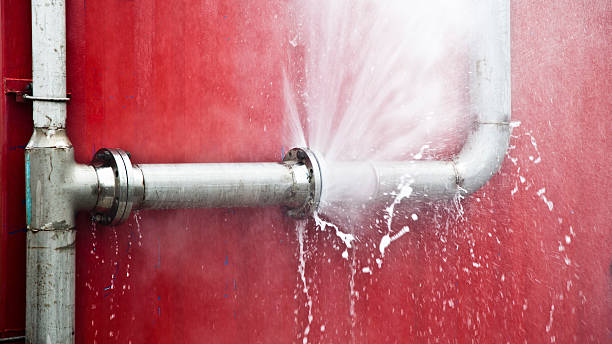 Best Ceiling water damage repair  in Mount Penn, PA